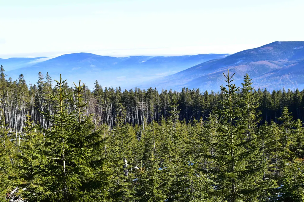 Hiking through the trails to Sniezka