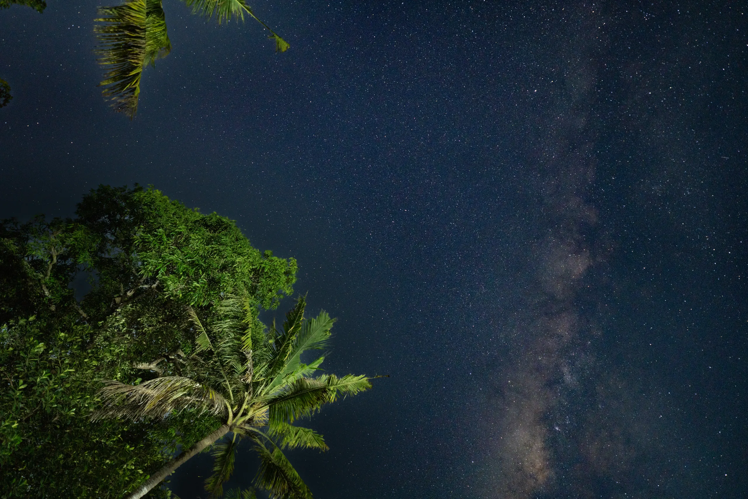 The Big dipper - Great Bear walking through the city of Krakow